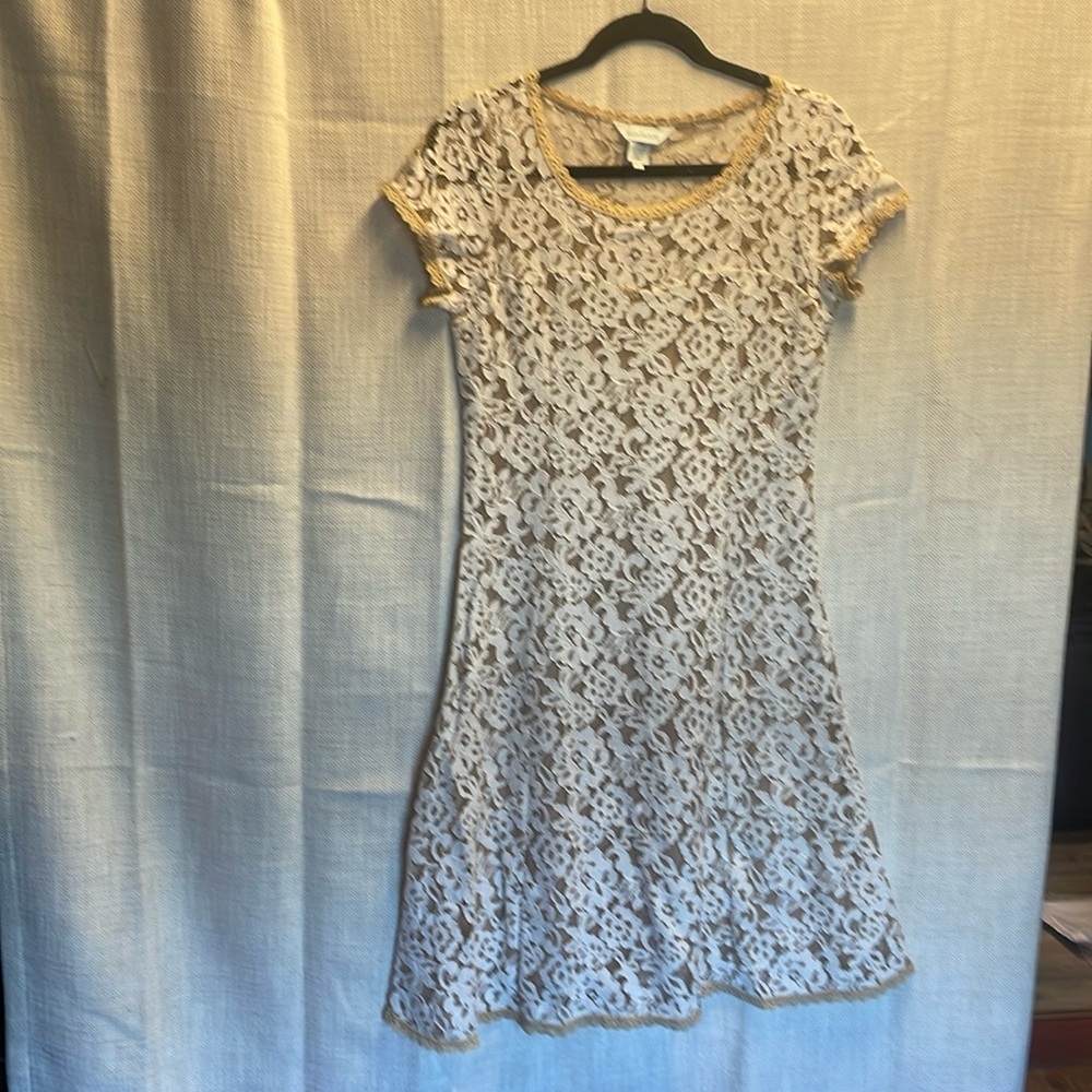 Sundance lined lace dress